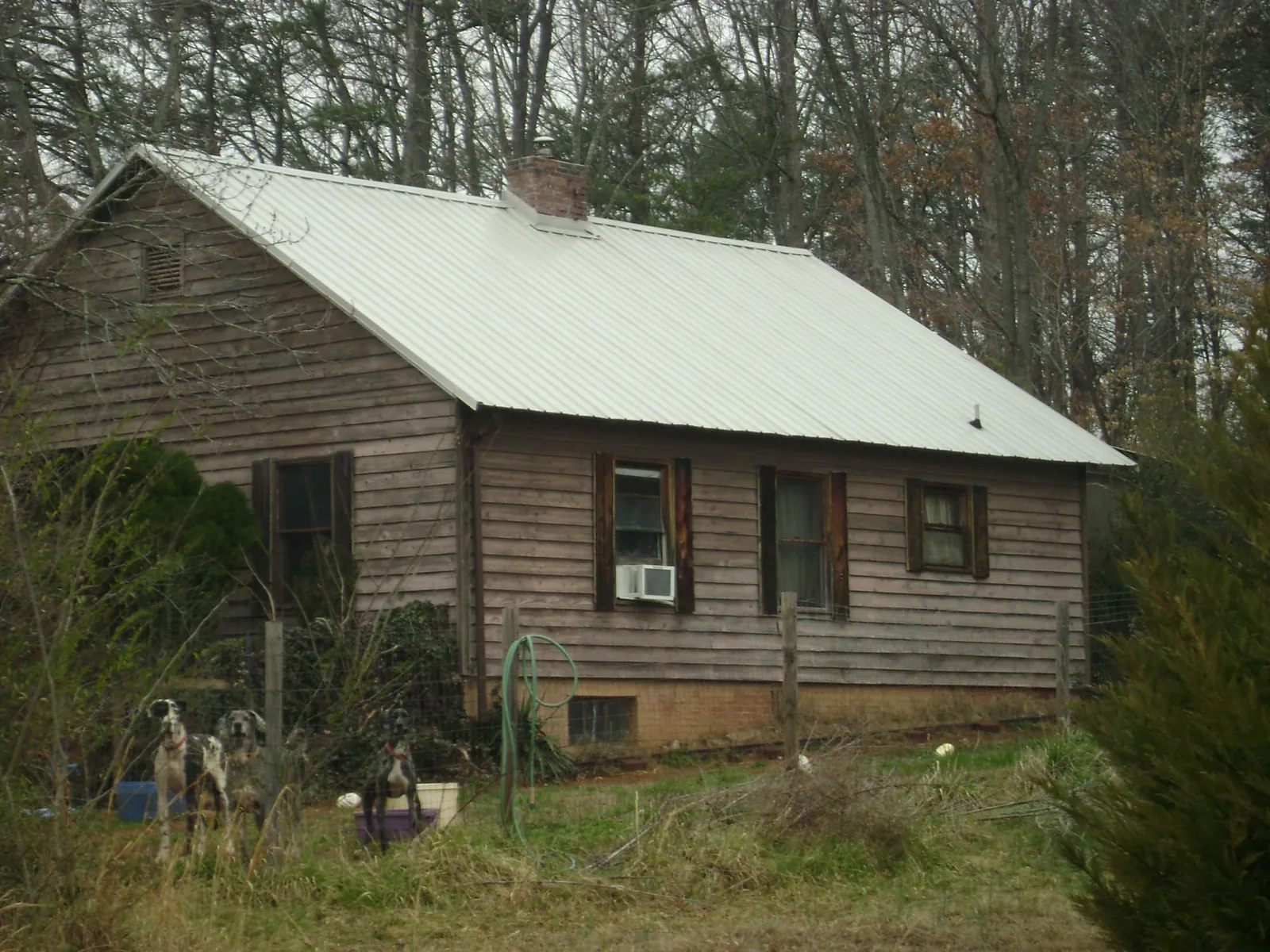 White metal roof on an old wood sided farmhouse, from a Asphalt Shingle Roof Repair job in Northford